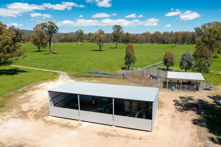 Second view of Homely rural property listing, 749 CARBOOR-EVERTON ROAD, Markwood VIC 3678