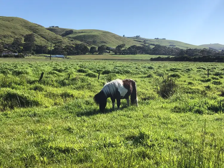 Fourth view of Homely rural property listing, 40 Swan Bay Rd, Toora VIC 3962