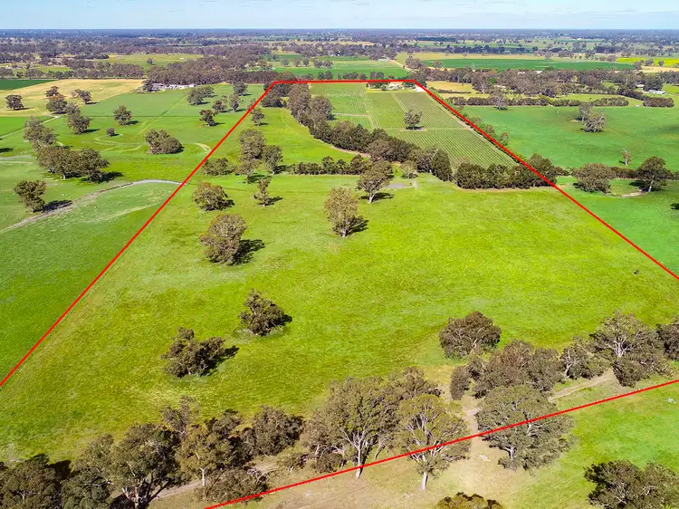 Main view of Homely rural property listing, 675 Cadgee Road, Naracoorte SA 5271