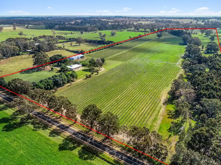 Second view of Homely rural property listing, 675 Cadgee Road, Naracoorte SA 5271