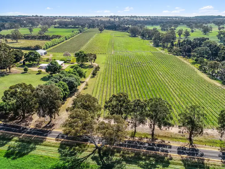Third view of Homely rural property listing, 675 Cadgee Road, Naracoorte SA 5271