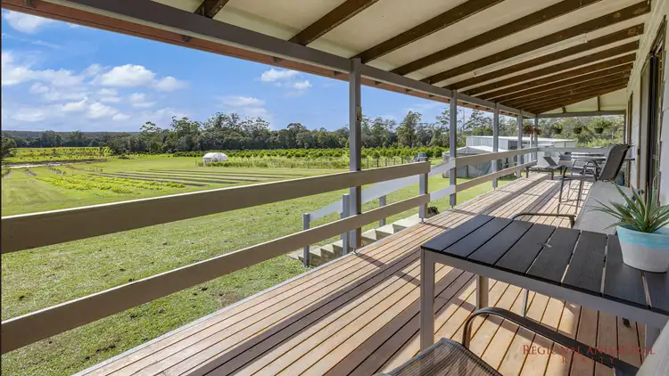Second view of Homely rural property listing, 1252 Collombatti Rd, Collombatti NSW 2440