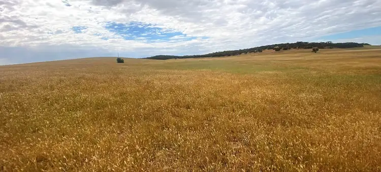Main view of Homely rural property listing, 737 Blackett Road, Parrakie SA 5301