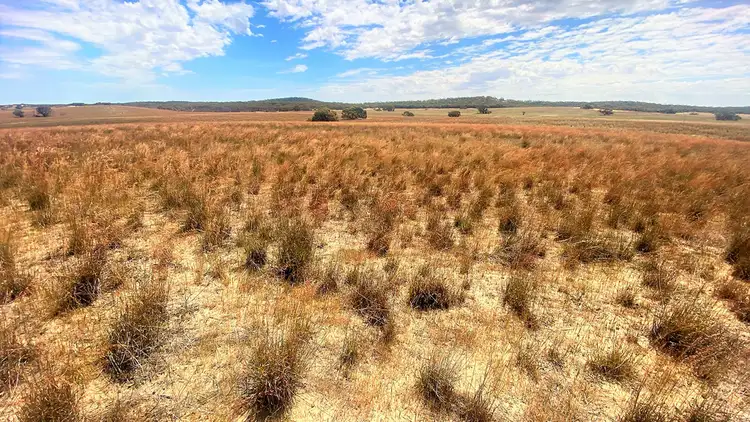 Third view of Homely rural property listing, 737 Blackett Road, Parrakie SA 5301