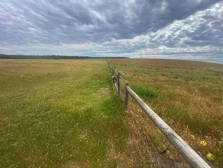 Fourth view of Homely rural property listing, 737 Blackett Road, Parrakie SA 5301