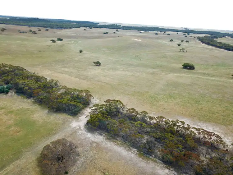 Sixth view of Homely rural property listing, 737 Blackett Road, Parrakie SA 5301