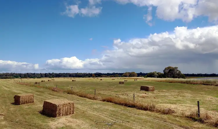 Fifth view of Homely rural property listing, Lot 70 Forrest Beach Road, Wonnerup WA 6280