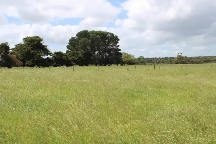Third view of Homely rural property listing, 10456 Riddoch Highway, Naracoorte SA 5271