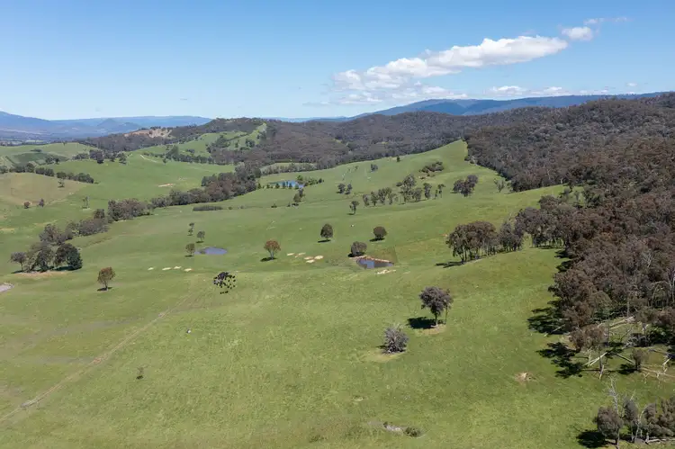 Main view of Homely rural property listing, 101 Yellow Creek Road, Taggerty VIC 3714