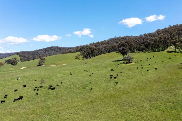 Fifth view of Homely rural property listing, 101 Yellow Creek Road, Taggerty VIC 3714