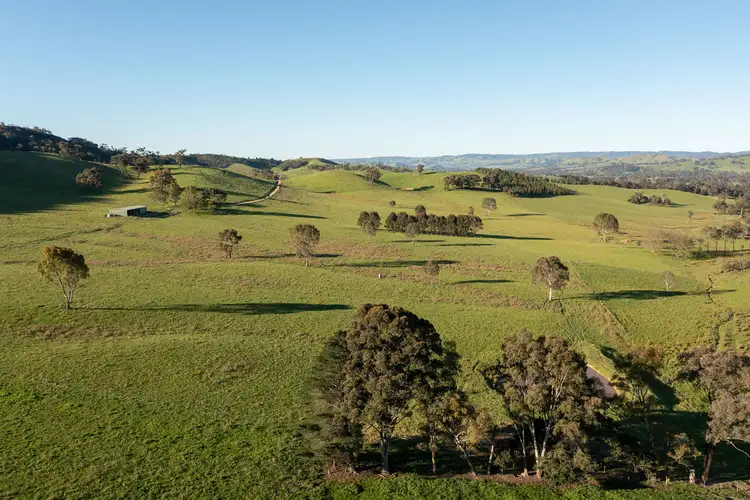Seventh view of Homely rural property listing, 101 Yellow Creek Road, Taggerty VIC 3714