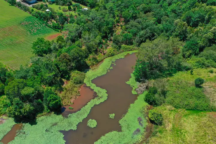 Fifth view of Homely land listing, 42 Angelita Close, Peeramon QLD 4885