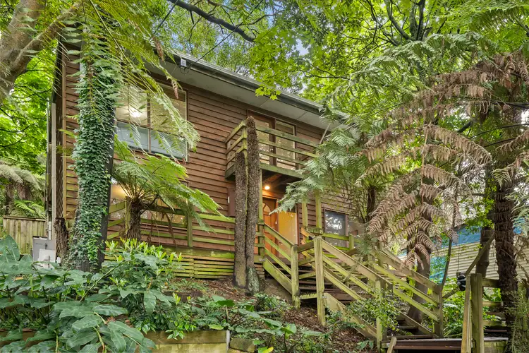 1442 Mountain Highway, The Basin VIC 3154