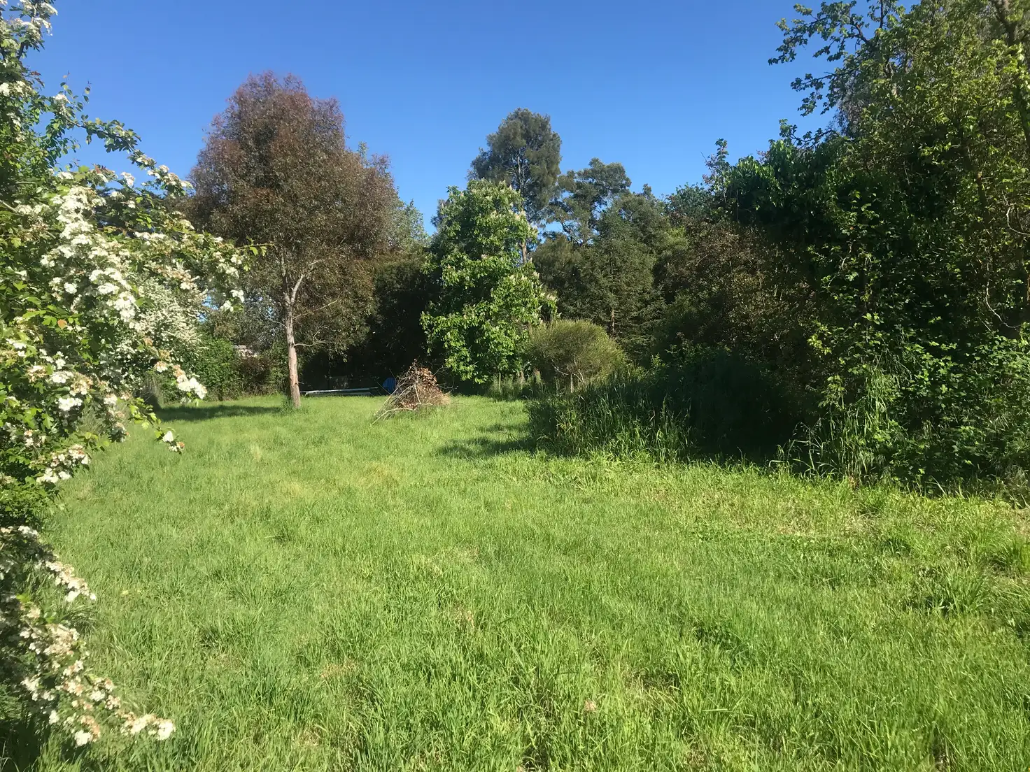 Main view of Homely land listing, 58B Anstey Street, Longford TAS 7301