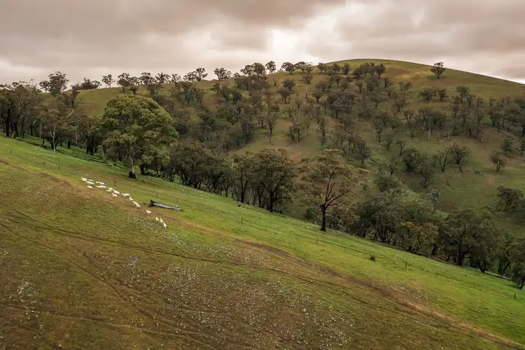 Sixth view of Homely rural property listing, 252 Hills Track Road, Melrose SA 5483