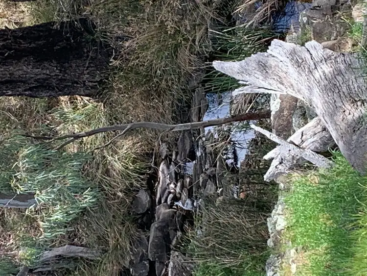 Seventh view of Homely rural property listing, 252 Hills Track Road, Melrose SA 5483