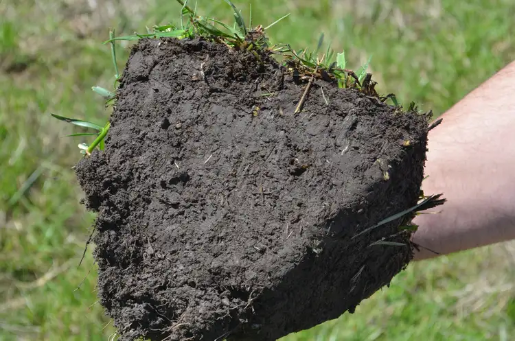 Fifth view of Homely rural property listing, 1032 CAPE JAFFA ROAD, Kingston Se SA 5275