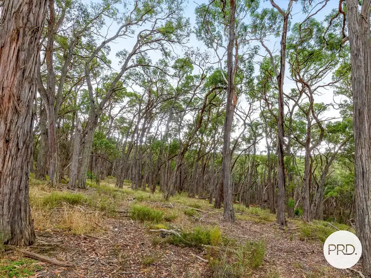 Third view of Homely land listing, LOT 10J Nidschelms Lane, Durham Lead VIC 3352