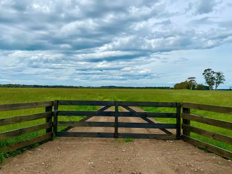 Second view of Homely rural property listing, - Bend Road, Terang VIC 3264