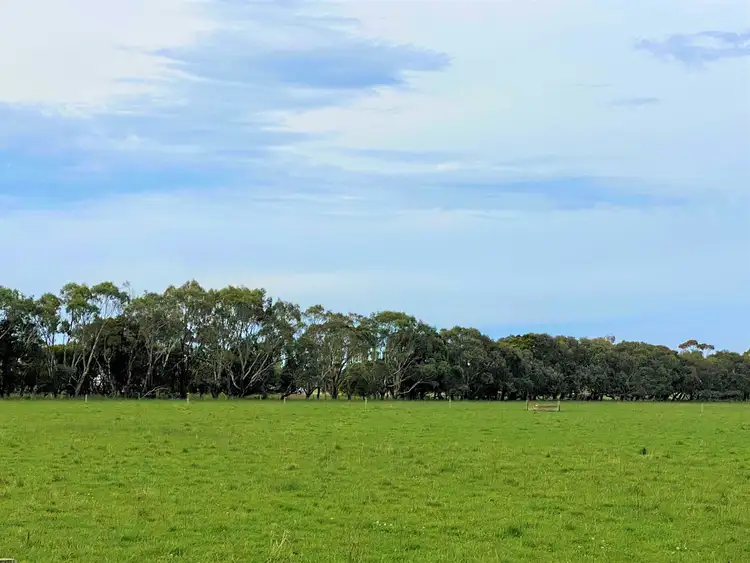 Fourth view of Homely rural property listing, - Bend Road, Terang VIC 3264