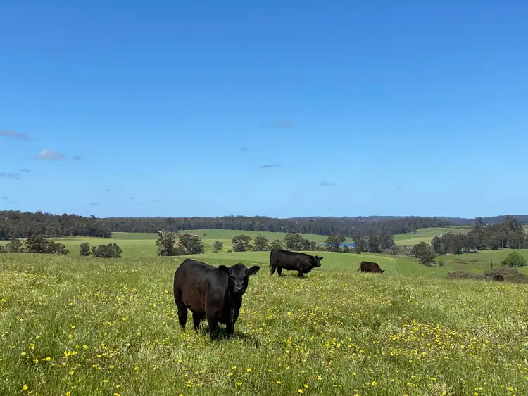 Sixth view of Homely rural property listing, 286 Seven Day Road (Deanmill), Manjimup WA 6258