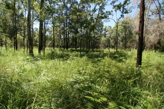 Main view of Homely rural property listing, 621 Creevy Drive, Captain Creek QLD 4677