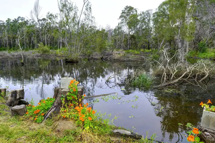 Fifth view of Homely rural property listing, 110 Glenthorne Road, Glenthorne NSW 2430