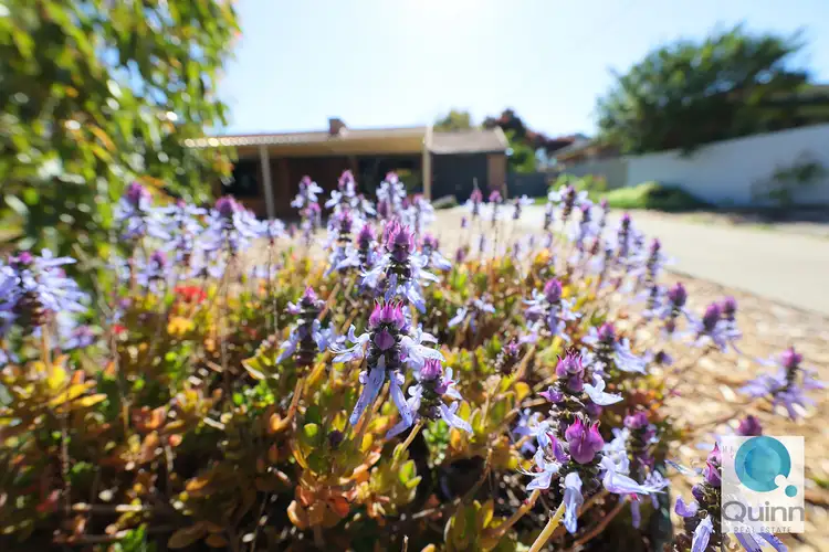 Fifth view of Homely house listing, 12 Plume Court, Lesmurdie WA 6076