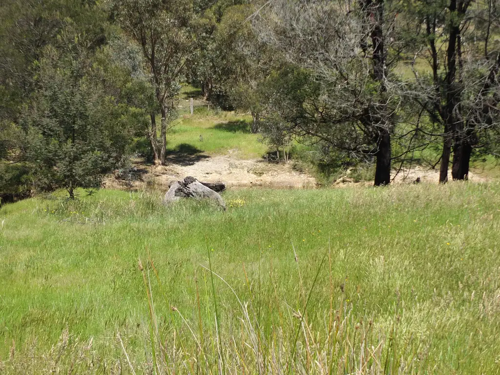 Main view of Homely rural property listing, Lots 13D & 14D Rivetts Road, Amphitheatre VIC 3468