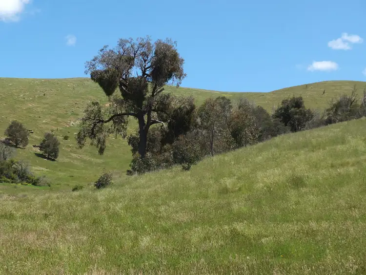 Fourth view of Homely rural property listing, Lots 13D & 14D Rivetts Road, Amphitheatre VIC 3468