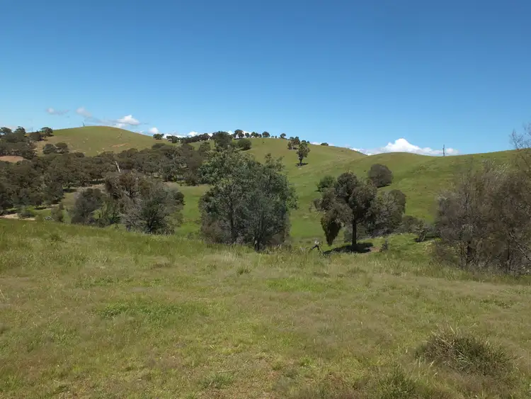 Fifth view of Homely rural property listing, Lots 13D & 14D Rivetts Road, Amphitheatre VIC 3468
