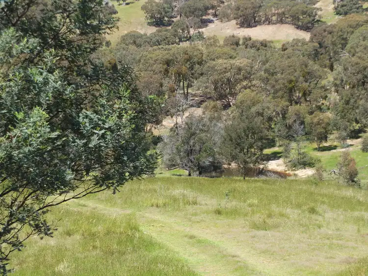Sixth view of Homely rural property listing, Lots 13D & 14D Rivetts Road, Amphitheatre VIC 3468
