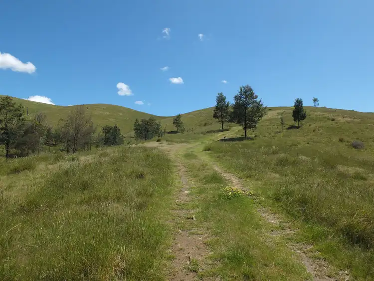 Seventh view of Homely rural property listing, Lots 13D & 14D Rivetts Road, Amphitheatre VIC 3468
