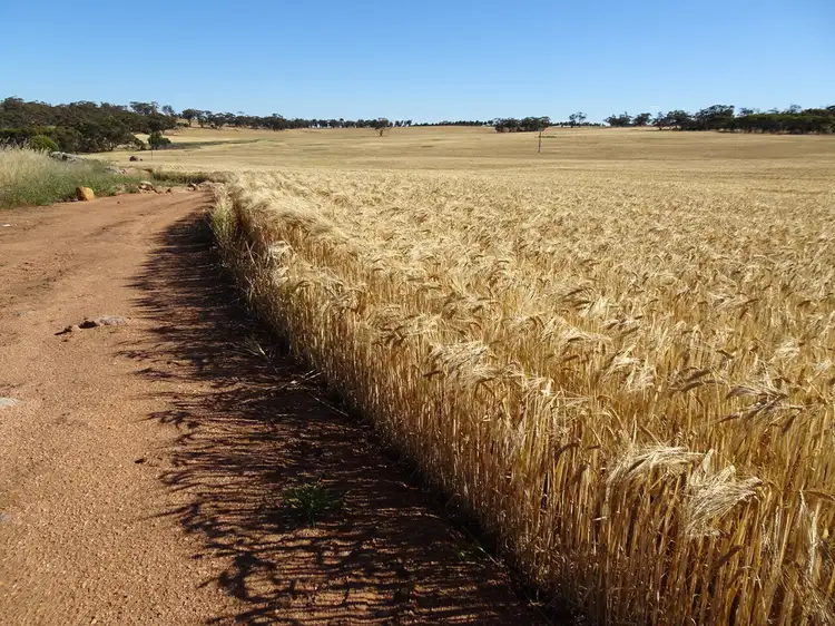 Lot 804 Shaddick Road