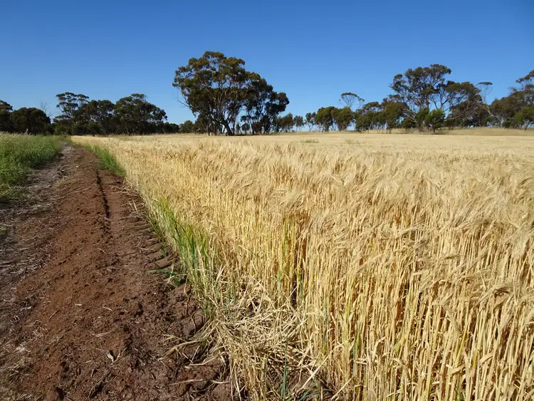 Second view of Homely rural property listing, Lot 804 Shaddick Road, East Pingelly WA 6308