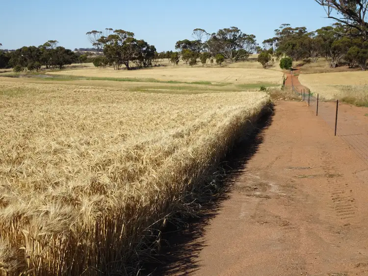 Third view of Homely rural property listing, Lot 804 Shaddick Road, East Pingelly WA 6308
