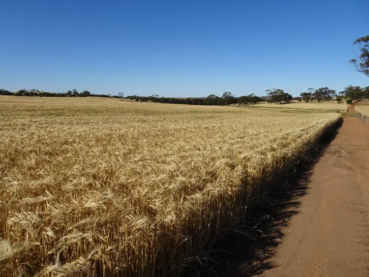 Fourth view of Homely rural property listing, Lot 804 Shaddick Road, East Pingelly WA 6308