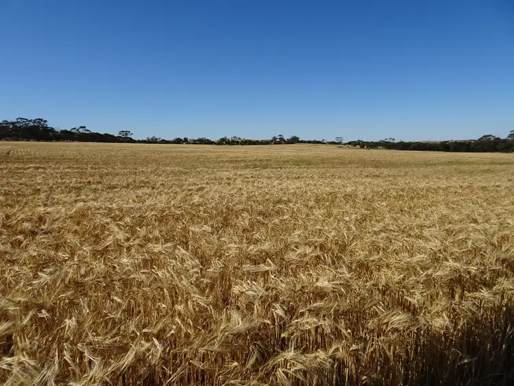 Fifth view of Homely rural property listing, Lot 804 Shaddick Road, East Pingelly WA 6308
