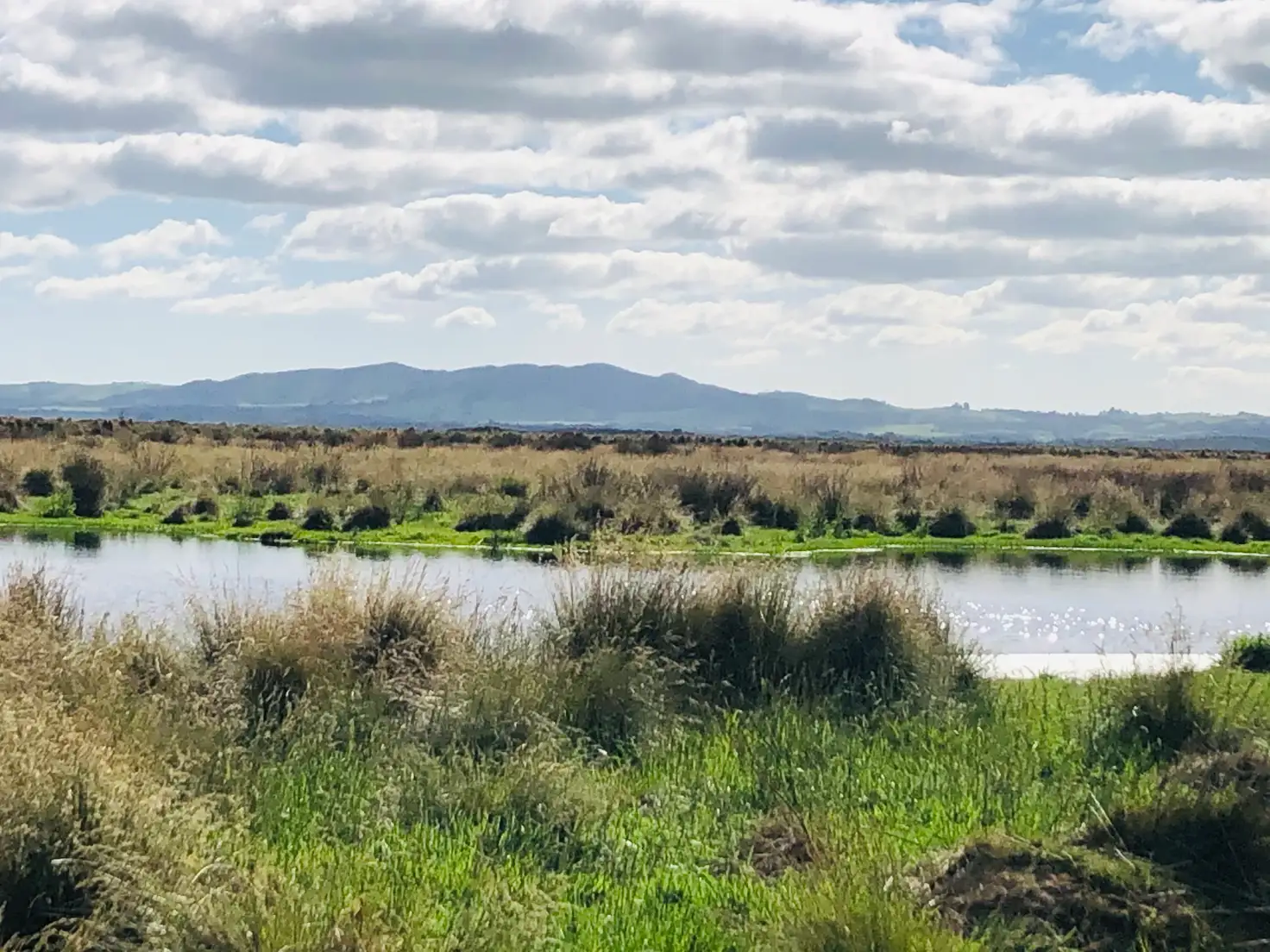 Main view of Homely rural property listing, 330 Rathjens Rd, Toora VIC 3962