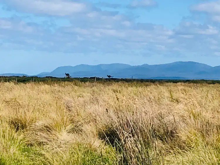 Fifth view of Homely rural property listing, 330 Rathjens Rd, Toora VIC 3962