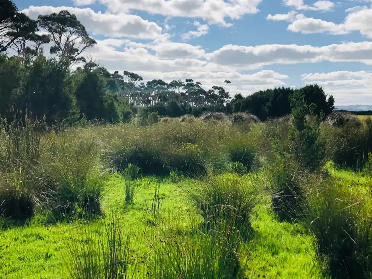 Seventh view of Homely rural property listing, 330 Rathjens Rd, Toora VIC 3962