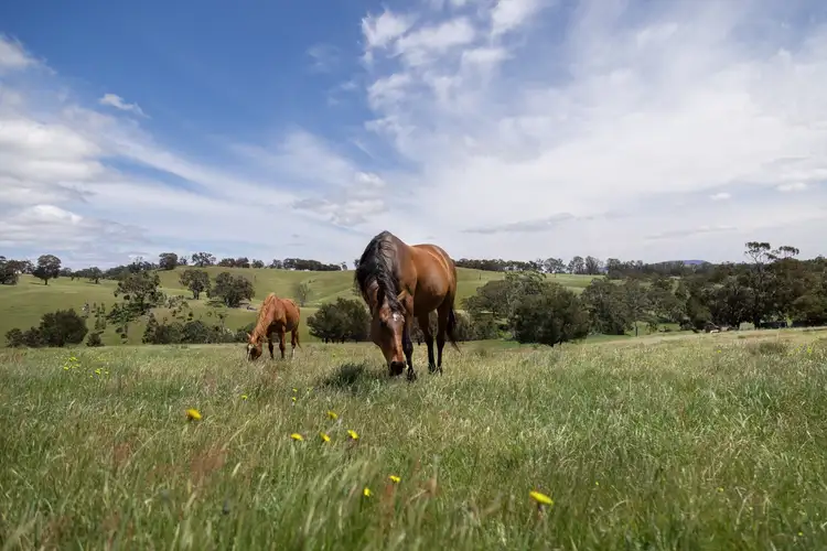 Third view of Homely house listing, 204 Kyneton Metcalfe Road, Metcalfe VIC 3448