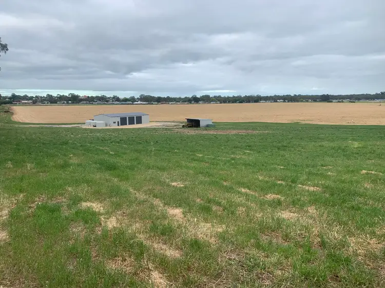 Main view of Homely rural property listing, 88 Carthy's Road, Naracoorte SA 5271