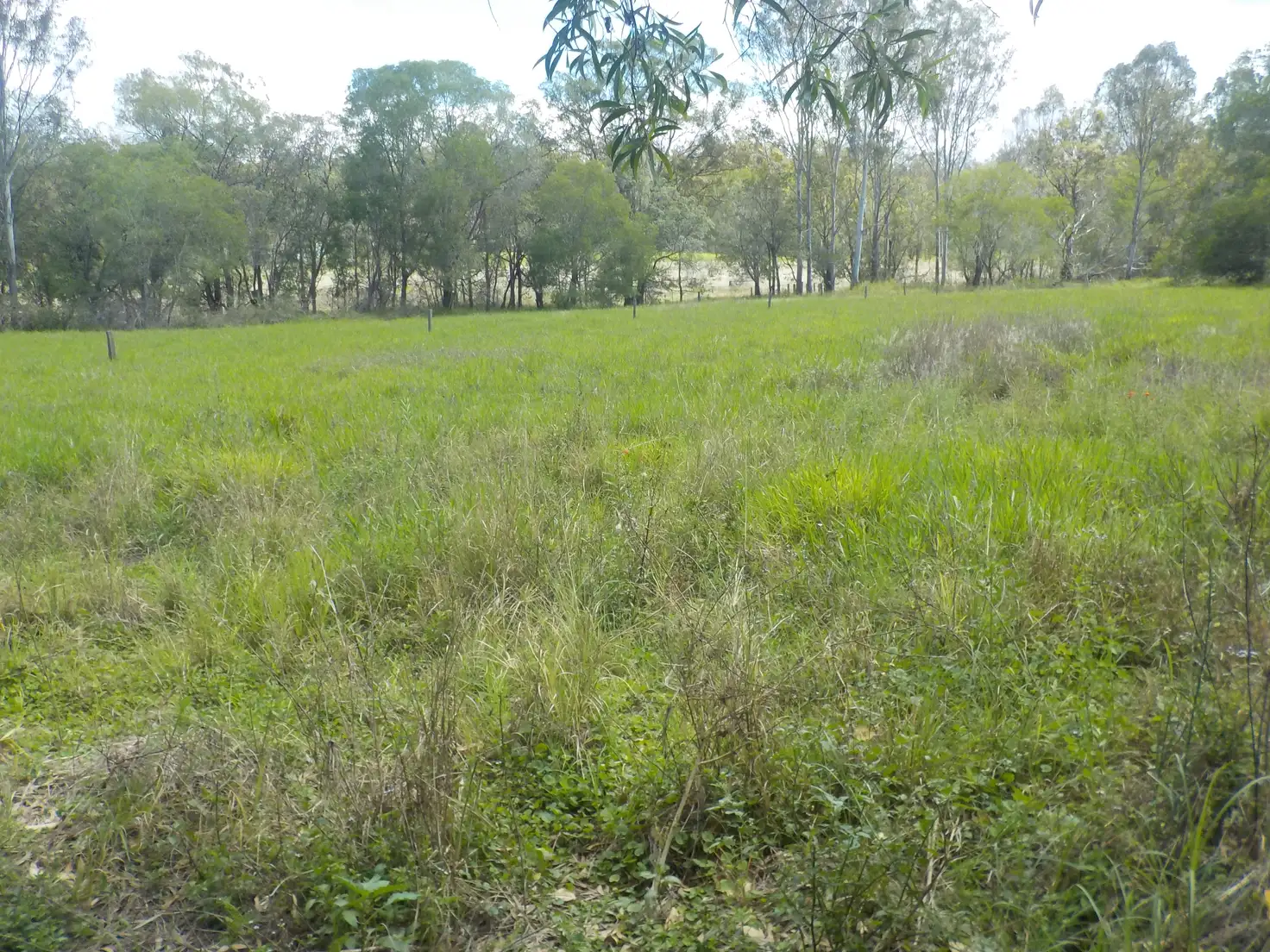 Main view of Homely rural property listing, Address available on request