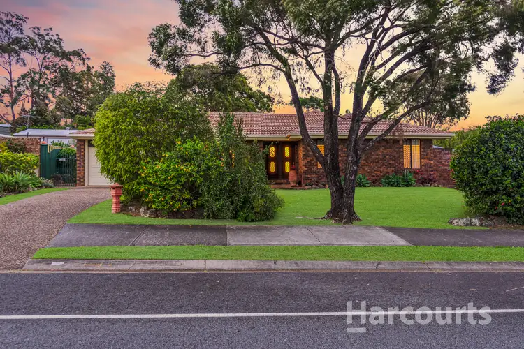 Third view of Homely house listing, 19 California Drive, Oxenford QLD 4210