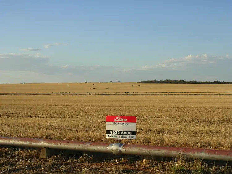 Main view of Homely rural property listing, 3 Koorda-Bullfinch Rd, Koorda WA 6475