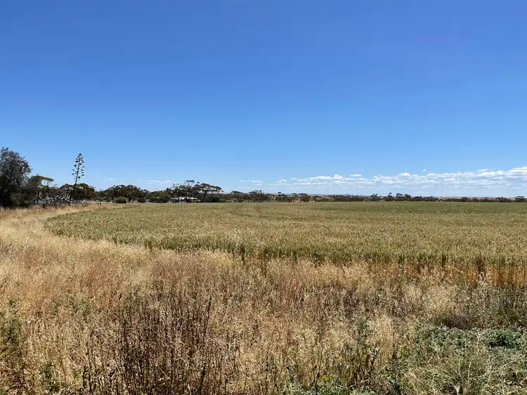 Second view of Homely rural property listing, 23 Schulze Road, Warramboo SA 5650