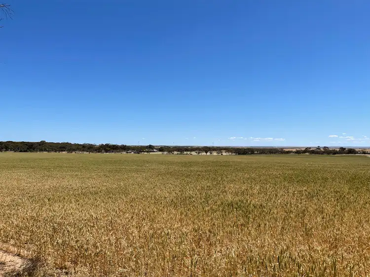 Sixth view of Homely rural property listing, 23 Schulze Road, Warramboo SA 5650