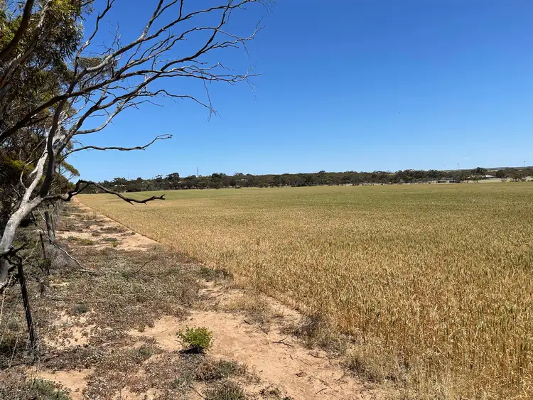 Seventh view of Homely rural property listing, 23 Schulze Road, Warramboo SA 5650
