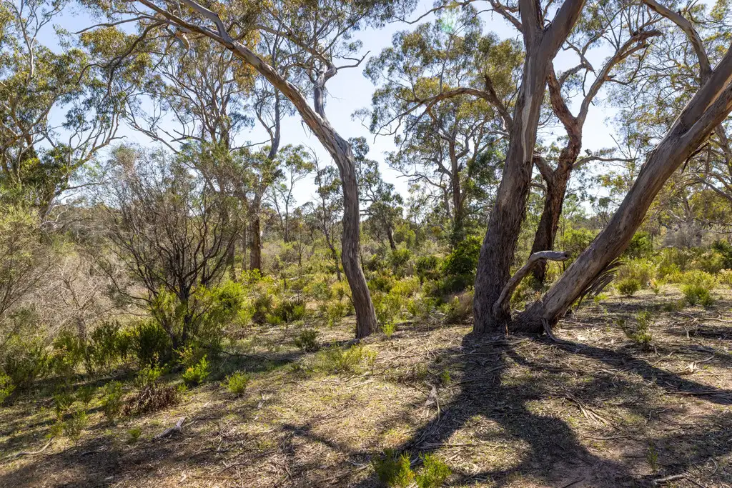 Main view of Homely rural property listing, CA 1 Claude Austin No1 Track, Rocklands VIC 3401
